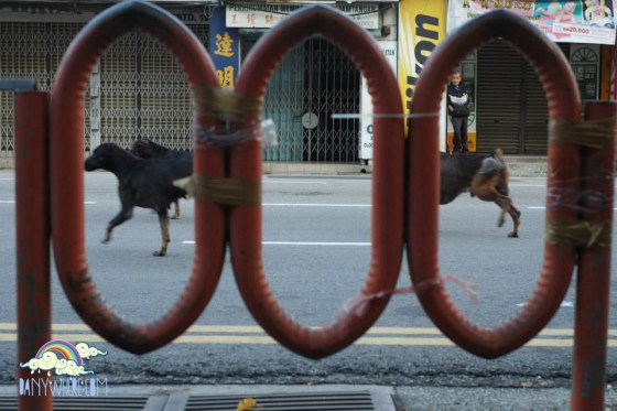 Obscura Street Photography Chemat