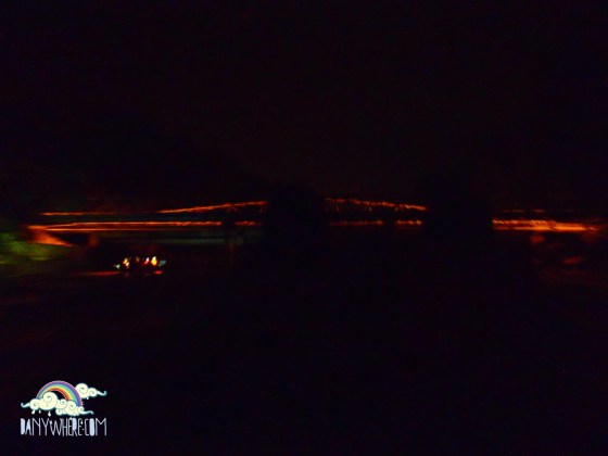 Hafiz Cherating Firefly