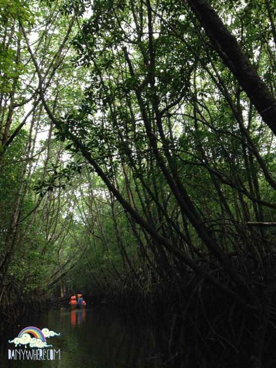 Cherating Mangrove Cruise