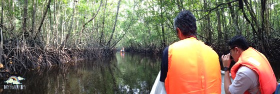 Cherating Mangrove