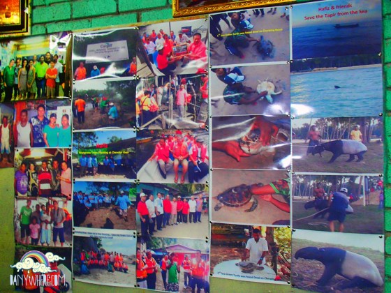 Hafiz Cherating Firefly 2