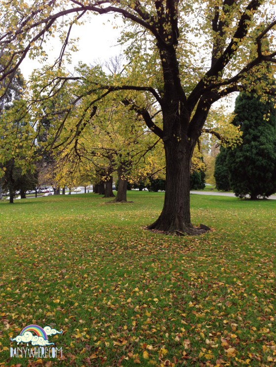 Royal Botanical Gardens