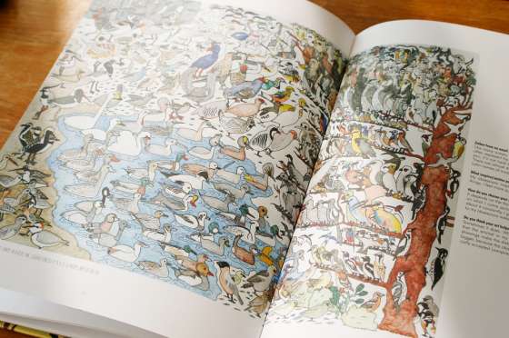 Photo Credit: Dabid Dabid